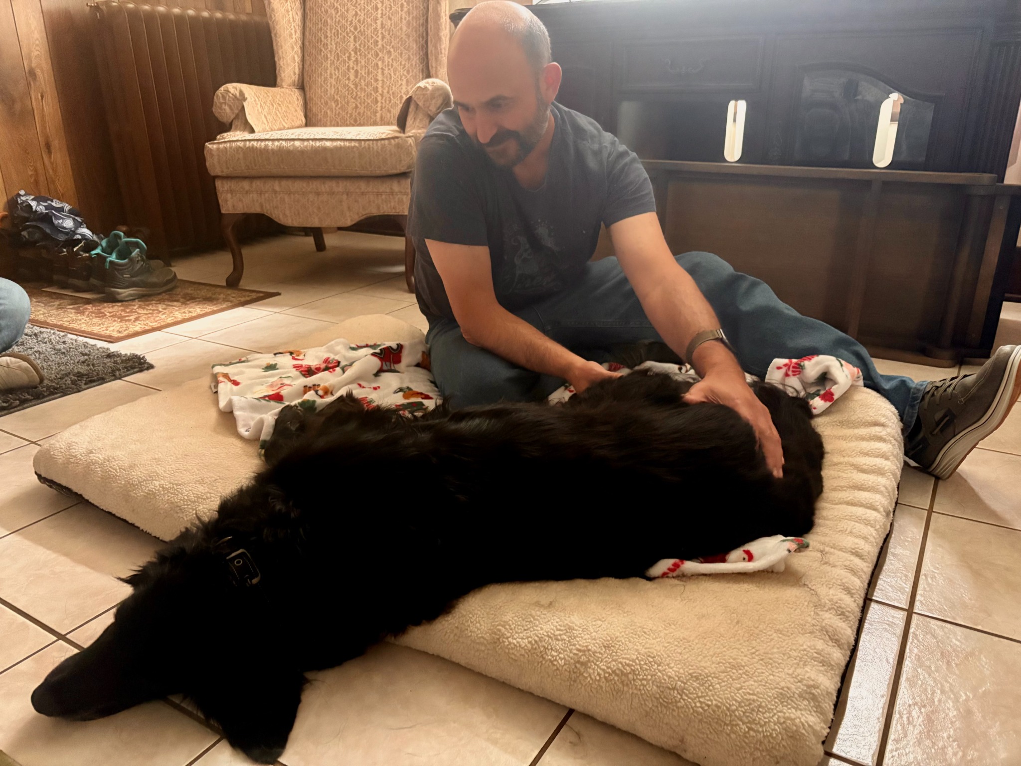 Real Shoreline canine massage session