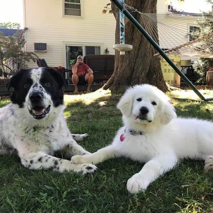 Hendrix and Bleu
